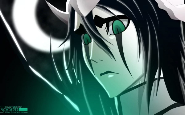 Ulquiorra Cifer Anime Bleach HD Desktop Wallpaper | Background Image