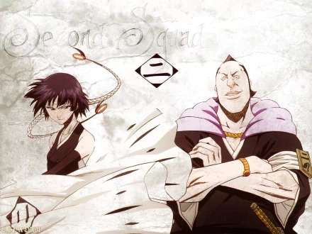 Marechiyo Ōmaeda Soifon (Bleach) Anime Bleach HD Desktop Wallpaper | Background Image