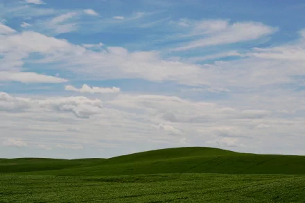 HD PC desktop wallpaper featuring a vibrant green field under a blue sky with scattered white clouds, showcasing a serene natural landscape.