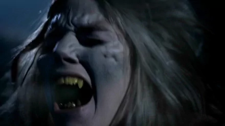 movie night wolf HD Desktop Wallpaper | Background Image