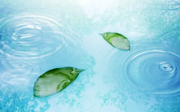 HD desktop wallpaper depicting two green leaves floating on calm water, with gentle ripples spreading around them. The background features a serene blend of blue hues, reflecting a tranquil natural setting.