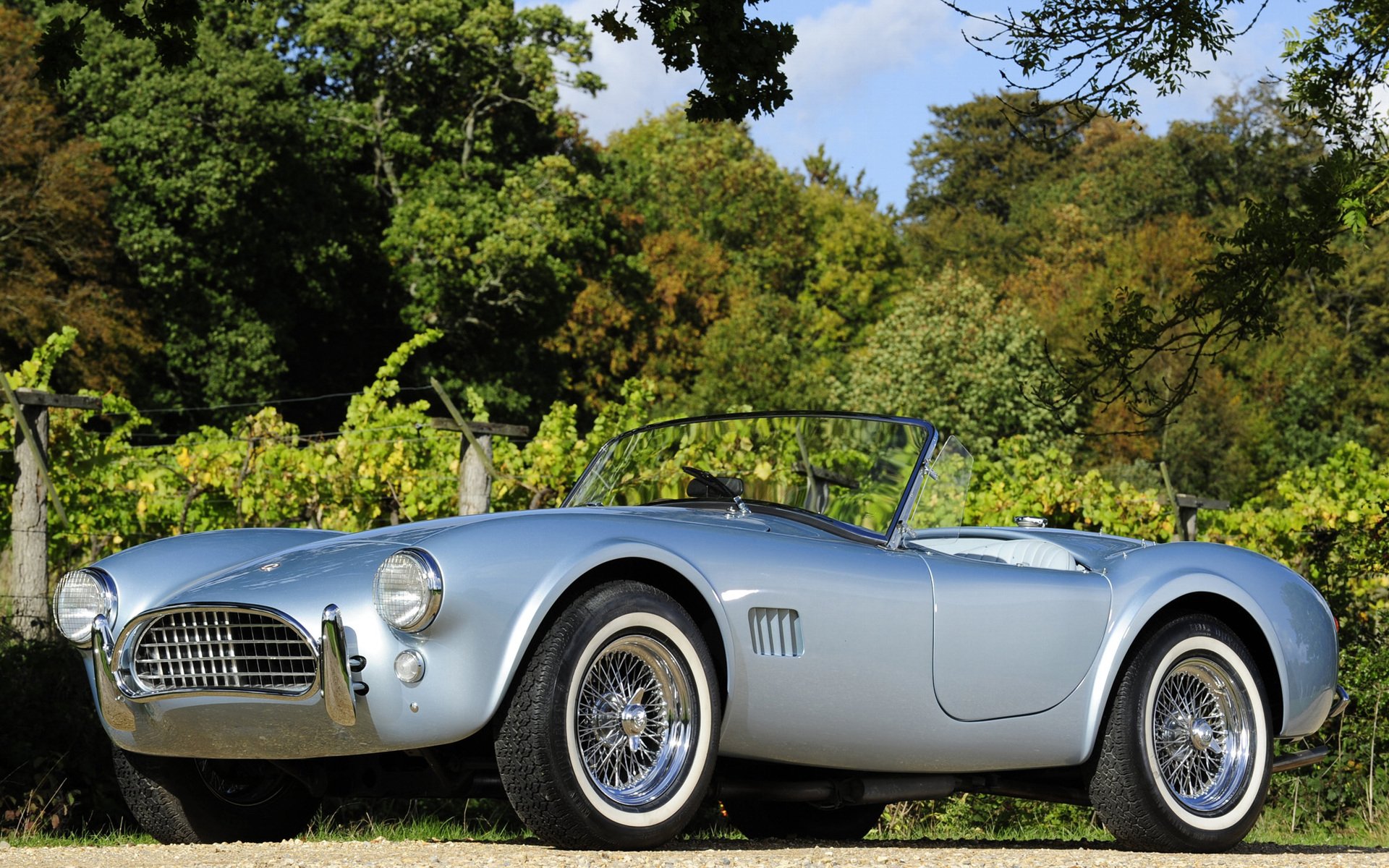 Download Vehicle Cobra HD Wallpaper