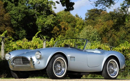 vehicle cobra HD Desktop Wallpaper | Background Image