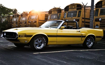  1969 Ford Shelby GT350