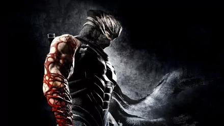 warrior video game ninja gaiden 3 HD Desktop Wallpaper | Background Image