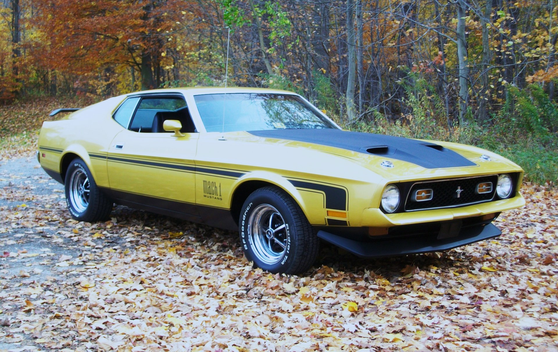 Download Yellow Car Muscle Car Fastback Vehicle Ford Mustang Mach 1 HD Wallpaper