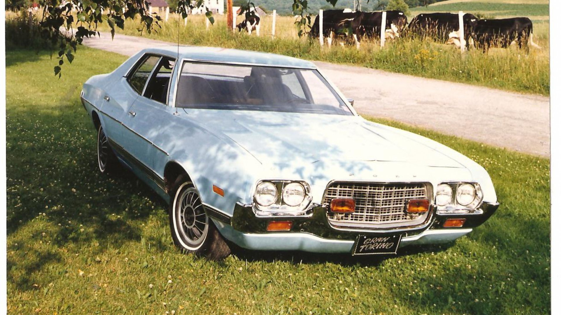 HD desktop wallpaper featuring a classic Ford Gran Torino parked on grass beside a country road with cows and greenery in the background.