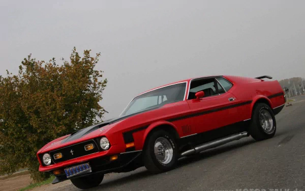 vehicle Ford Mustang Mach 1 HD Desktop Wallpaper | Background Image