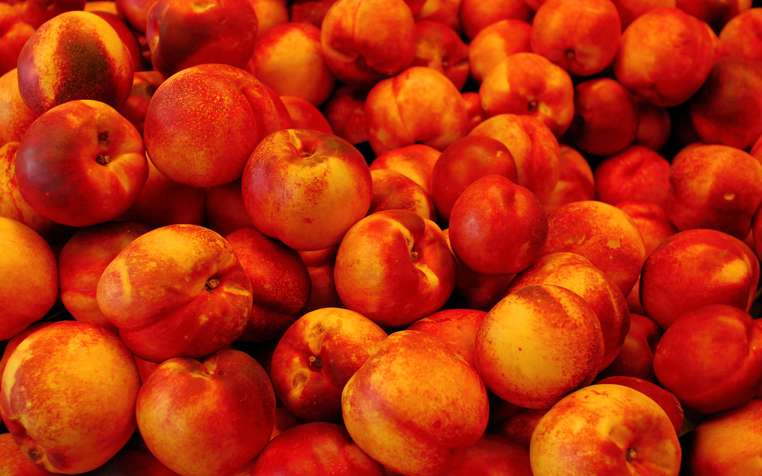 Free nectarine Photos & Pictures | FreeImages