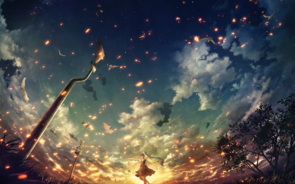 Anime Sky Long Hair Bird Sunset HD Wallpaper | Background Image