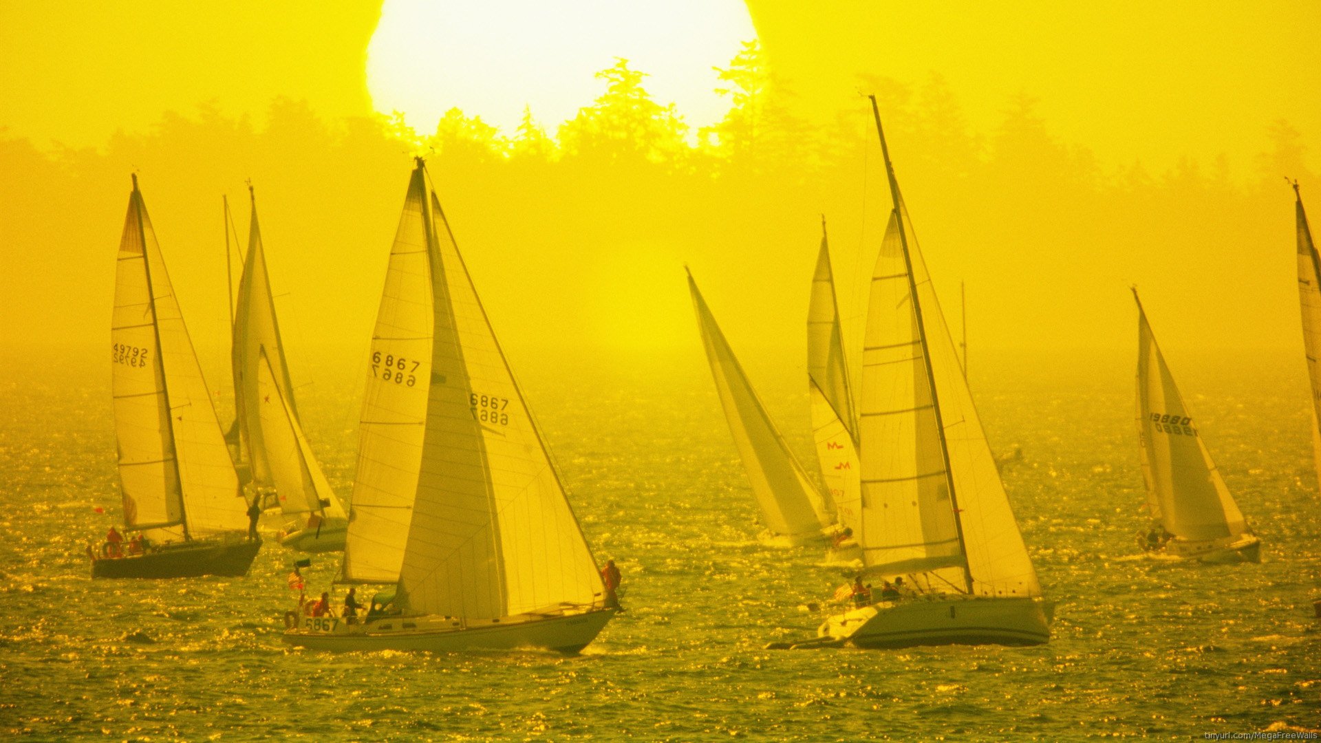 Download Sailboat Ocean Vehicle Boat HD Wallpaper