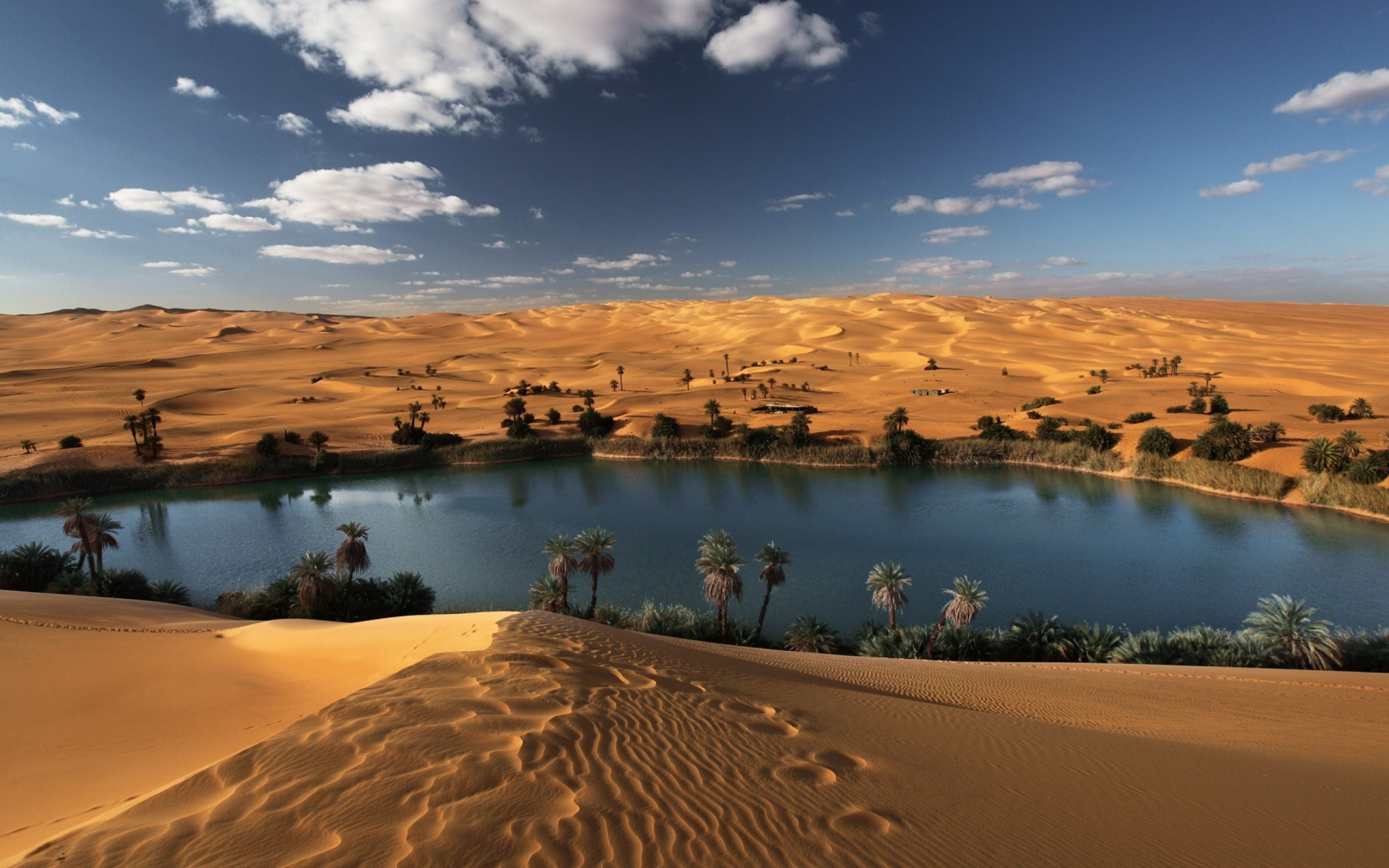  Serene Oasis In The Sahara HD Wallpaper By Nike One 2560x1600 