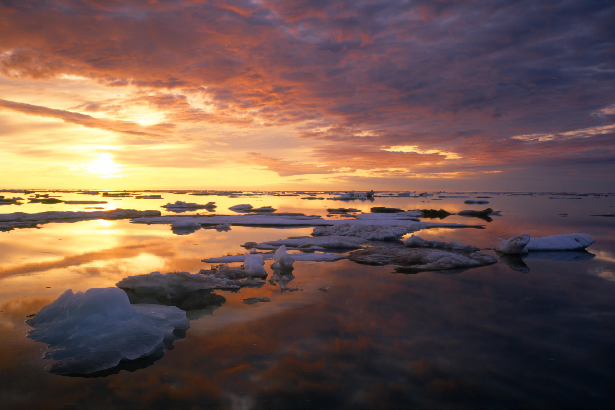 Пейзаж северное море. Поверхностные воды. Северное море рассвет. Закат на Северном Ледовитом океане. Рассвет в Арктике.