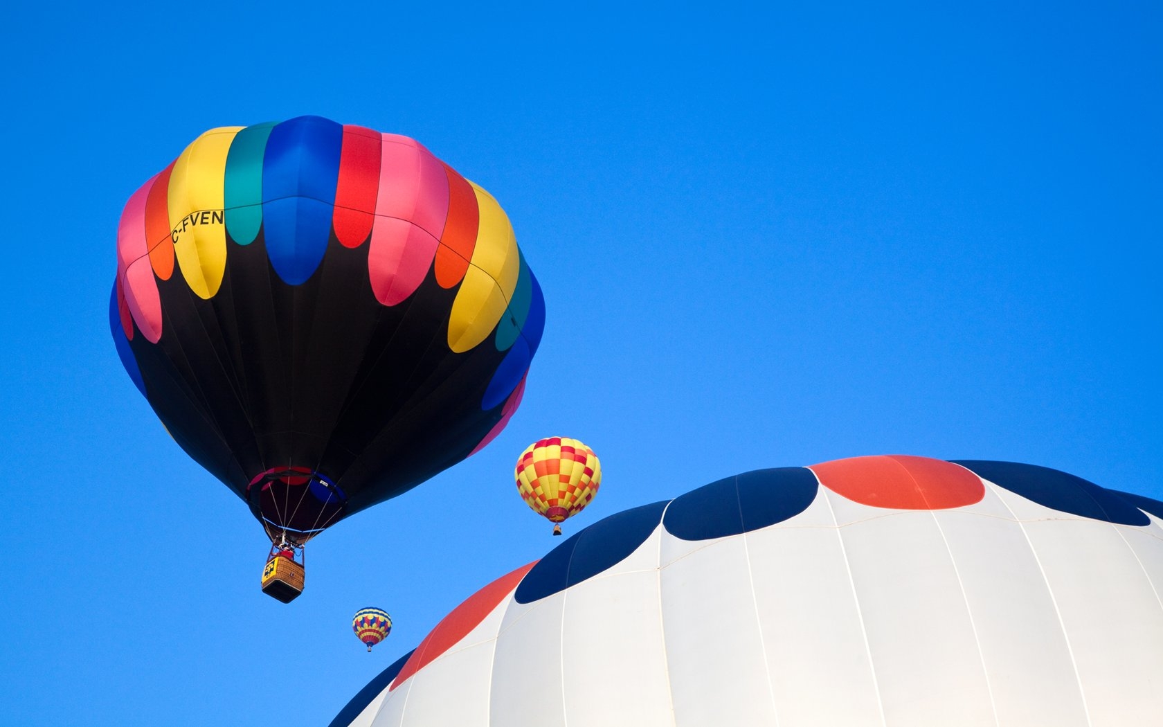 Hot Air Balloon Wallpaper and Background Image | 1680x1050 ...