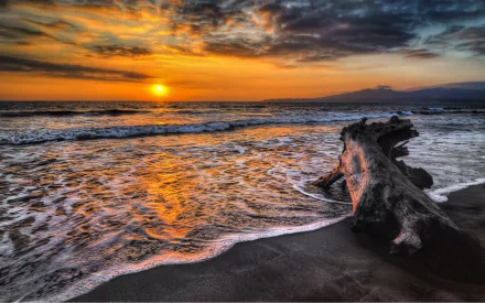 HD desktop wallpaper of ocean waves at sunset with a colorful sky, drifting clouds, and a large piece of driftwood on the sandy shore.