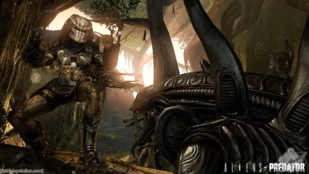 HD PC desktop wallpaper featuring Predator and Alien from the Alien vs. Predator video game, set in a dark, atmospheric forest environment.