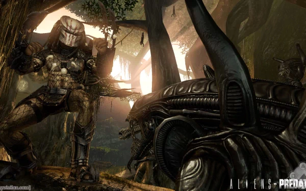 HD PC desktop wallpaper featuring Predator and Alien from the Alien vs. Predator video game, set in a dark, atmospheric forest environment.