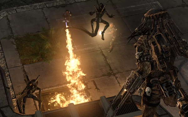 Predator alien video game Alien vs. Predator HD Desktop Wallpaper | Background Image