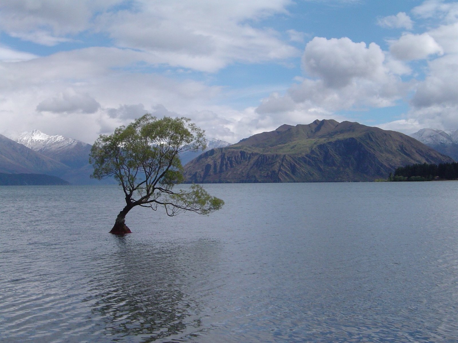 A serene nature scene featuring a lone tree standing in tranquil waters, framed by majestic mountains and cloudy skies, making a stunning HD desktop wallpaper.