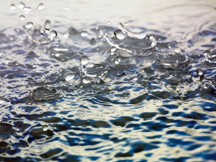 A close-up image of water droplets creating ripples on a serene surface, showcasing the beauty of nature. High-definition desktop wallpaper background.