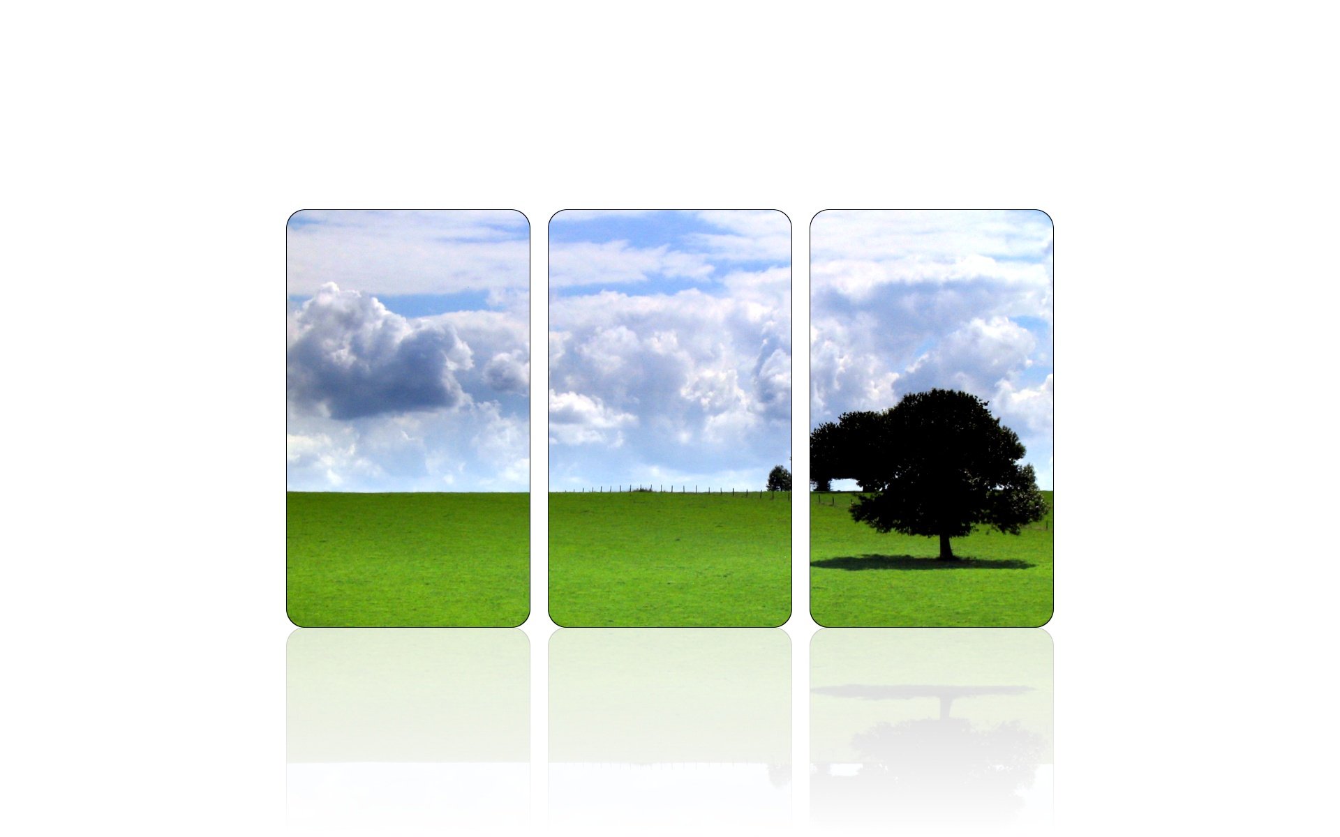 HD PC desktop wallpaper featuring a minimalist nature scene with a single tree on a green field under a partly cloudy sky, divided into three vertical panels.