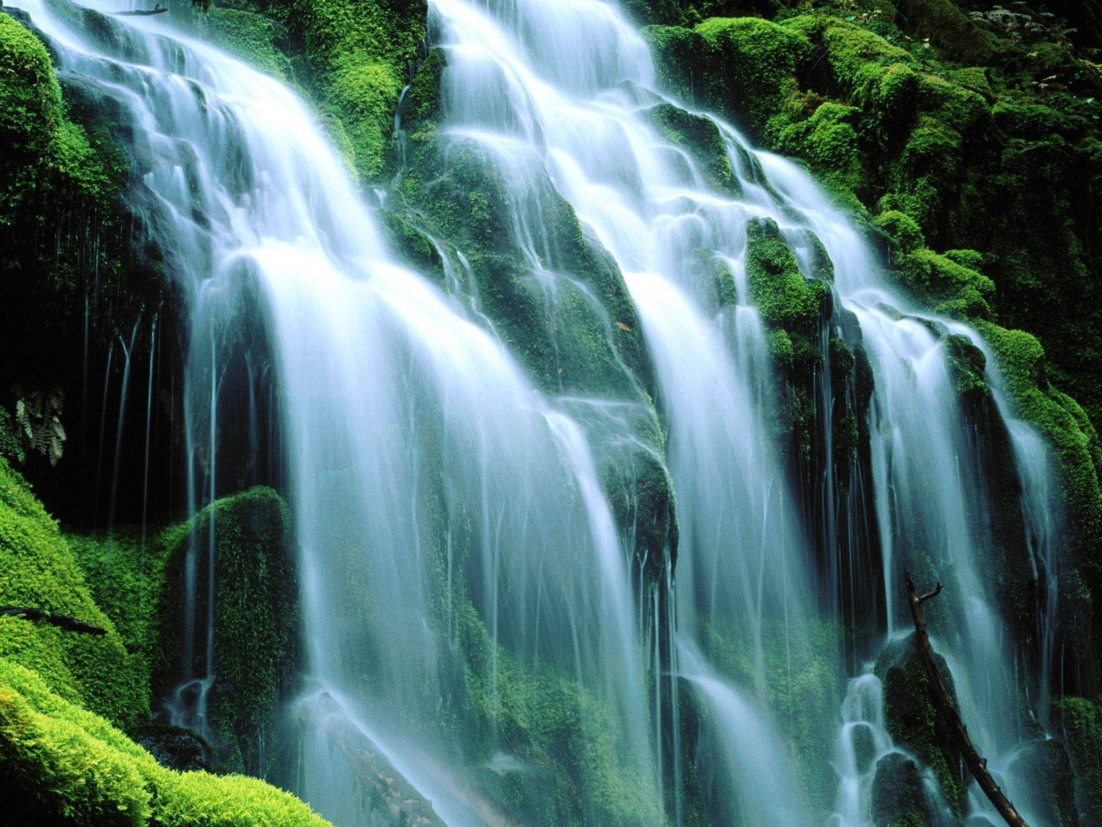 Cascading Waterfalls in HD