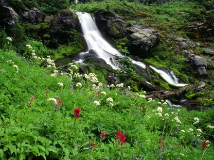 HD desktop wallpaper featuring a serene waterfall cascading over rocks amidst lush greenery and colorful wildflowers in a natural setting.