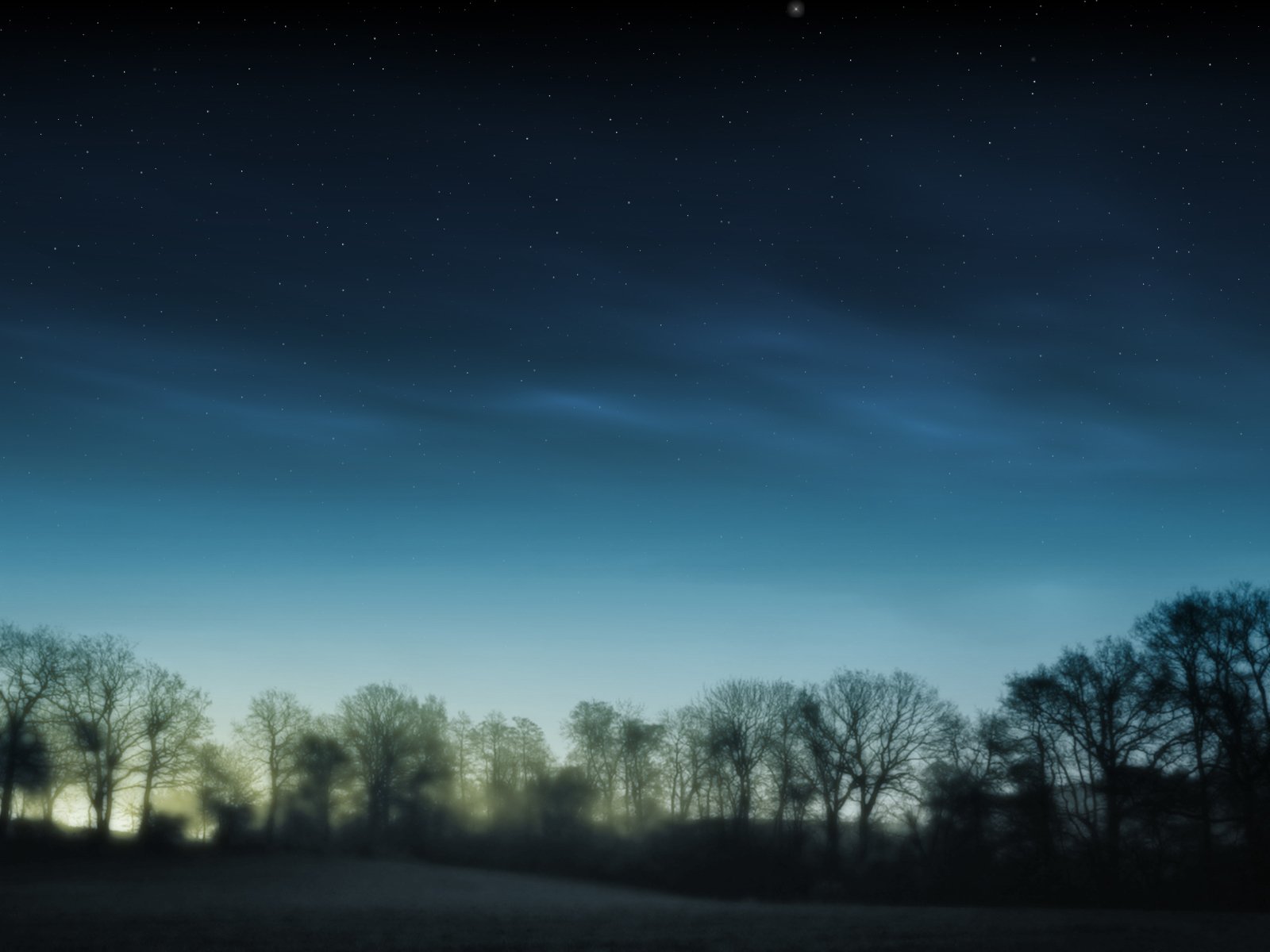 A serene forest at dusk, with silhouetted trees against a twilight sky filled with stars, creating a tranquil atmosphere. This HD image serves as a captivating nature-themed desktop wallpaper.
