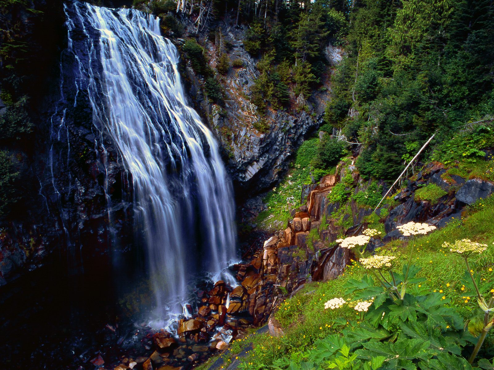 Scenic view of Narada Falls