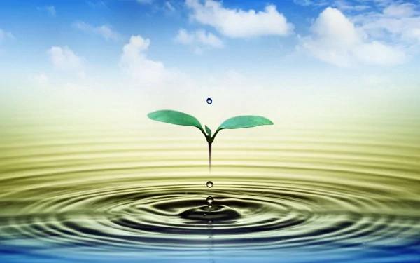 Close-up HD wallpaper of a small plant sprouting in a ripple of water under a blue sky with clouds.