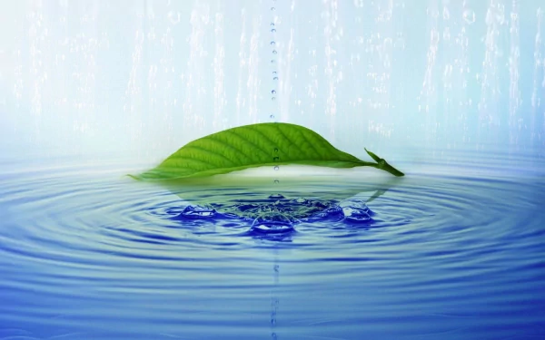 Close-up of a green leaf floating on a water surface with ripples, set against a tranquil, HD nature background.
