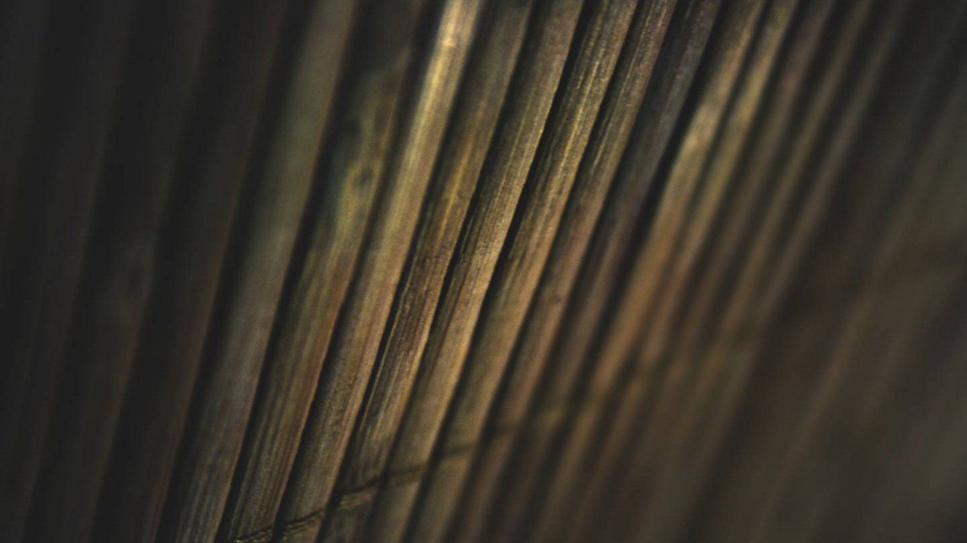 Macro photography HD PC desktop wallpaper/background — close-up of textured vertical slats with warm highlights and shallow depth of field.