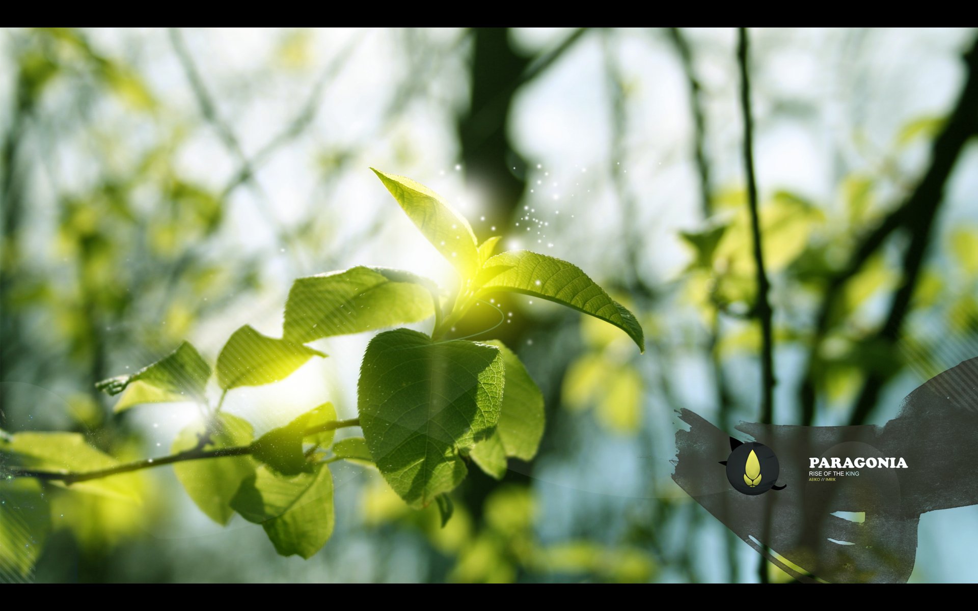 Artistic HD desktop wallpaper featuring vibrant green leaves illuminated by soft sunlight filtering through a blurred natural background.