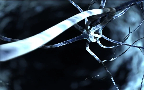artistic Neuron HD Desktop Wallpaper | Background Image
