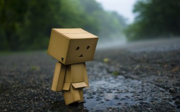 100 Danbo Hd Wallpapers Background Images Wallpaper Abyss