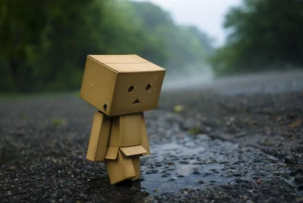 HD desktop wallpaper featuring Danbo, a small cardboard robot, standing on a wet, misty road with lush greenery in the background.