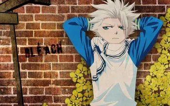 toshiro hitsugaya shirtless