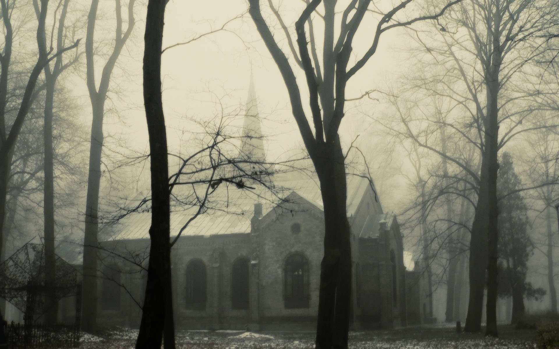 A foggy scene featuring a cathedral surrounded by bare trees, evoking a serene, religious atmosphere. This HD image serves as an intriguing desktop wallpaper.