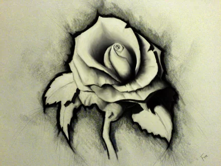 HD desktop wallpaper of an artistic drawing of a rose with a detailed, black and white sketch style.