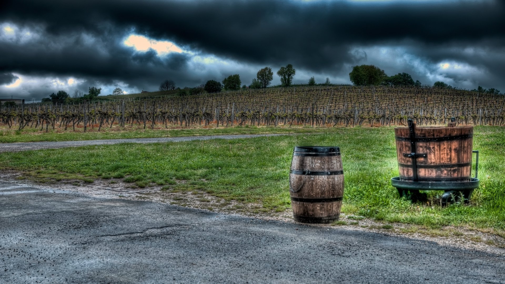 Download Man Made Vineyard HD Wallpaper