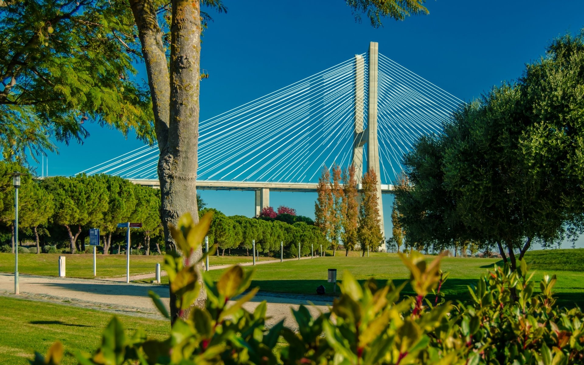 Download Man Made Vasco Da Gama Bridge HD Wallpaper