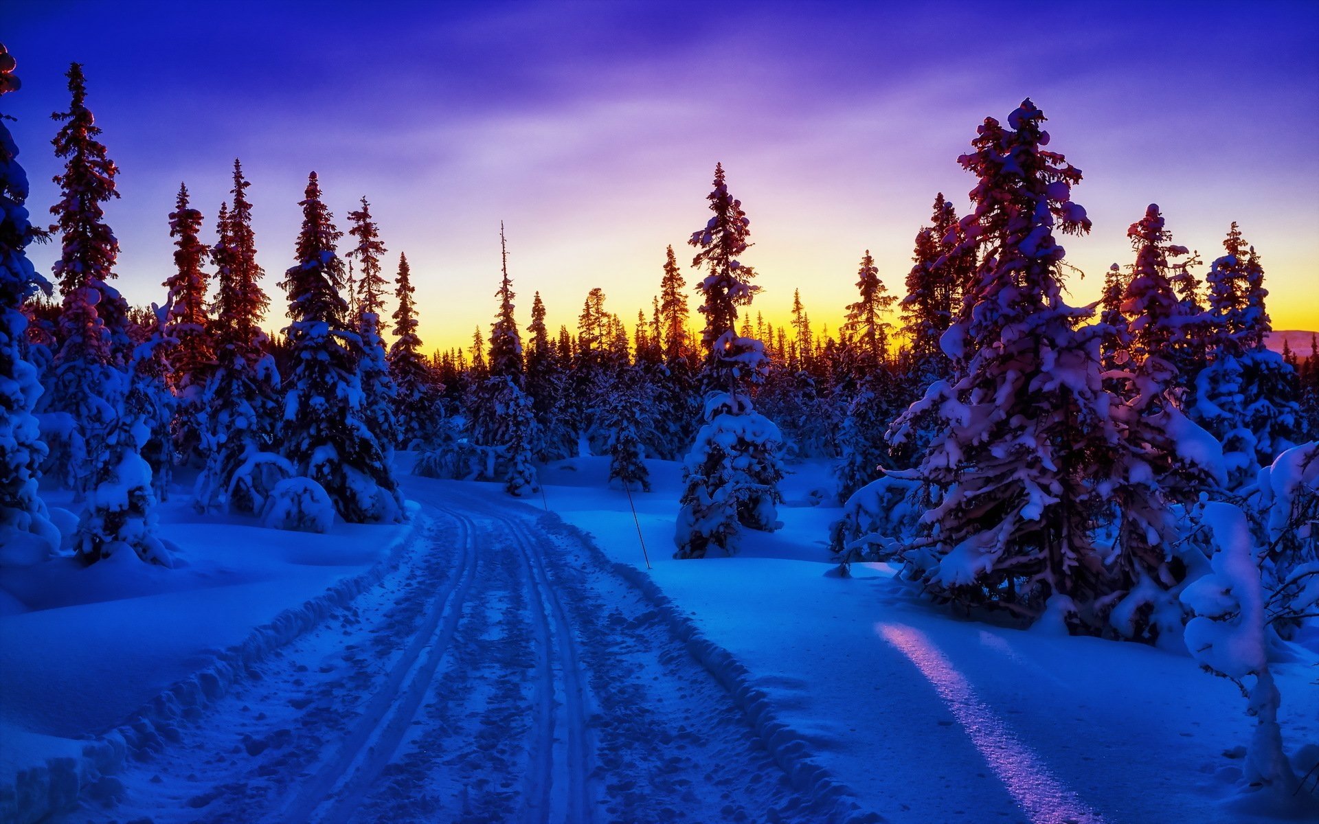 Download Sunset Tree Road Nature Winter HD Wallpaper