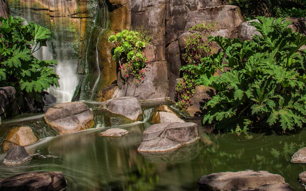 man made Golden Gate Park HD Desktop Wallpaper | Background Image