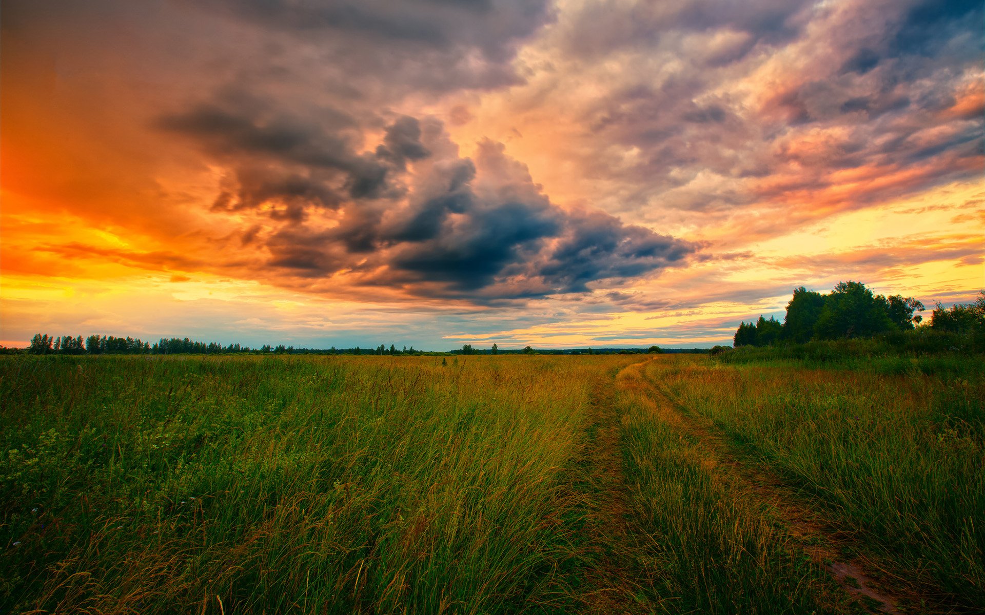 HD PC desktop wallpaper background: nature landscape of a grassy field with a dirt track leading to a distant treeline beneath dramatic orange and purple sunset clouds.
