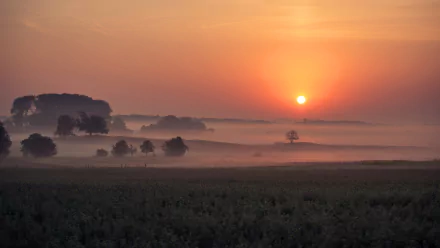 nature sunrise HD Desktop Wallpaper | Background Image