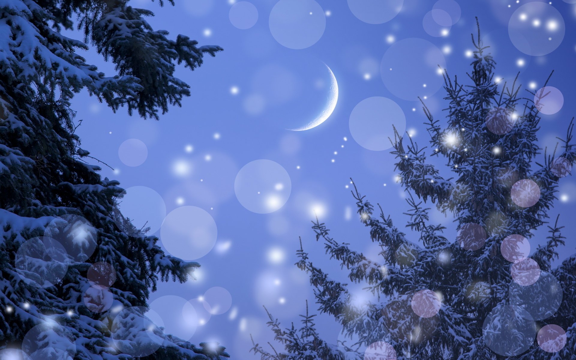 Download Nature Crescent HD Wallpaper