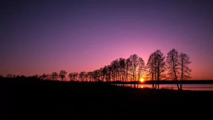 A serene sunset over a calm lake, silhouetted trees lining the shore against a vibrant purple and orange sky, captured in stunning 4K Ultra HD quality.