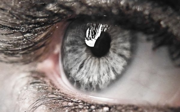 Women Eye HD Wallpaper | Background Image