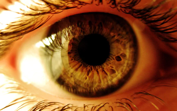 woman eye HD Desktop Wallpaper | Background Image