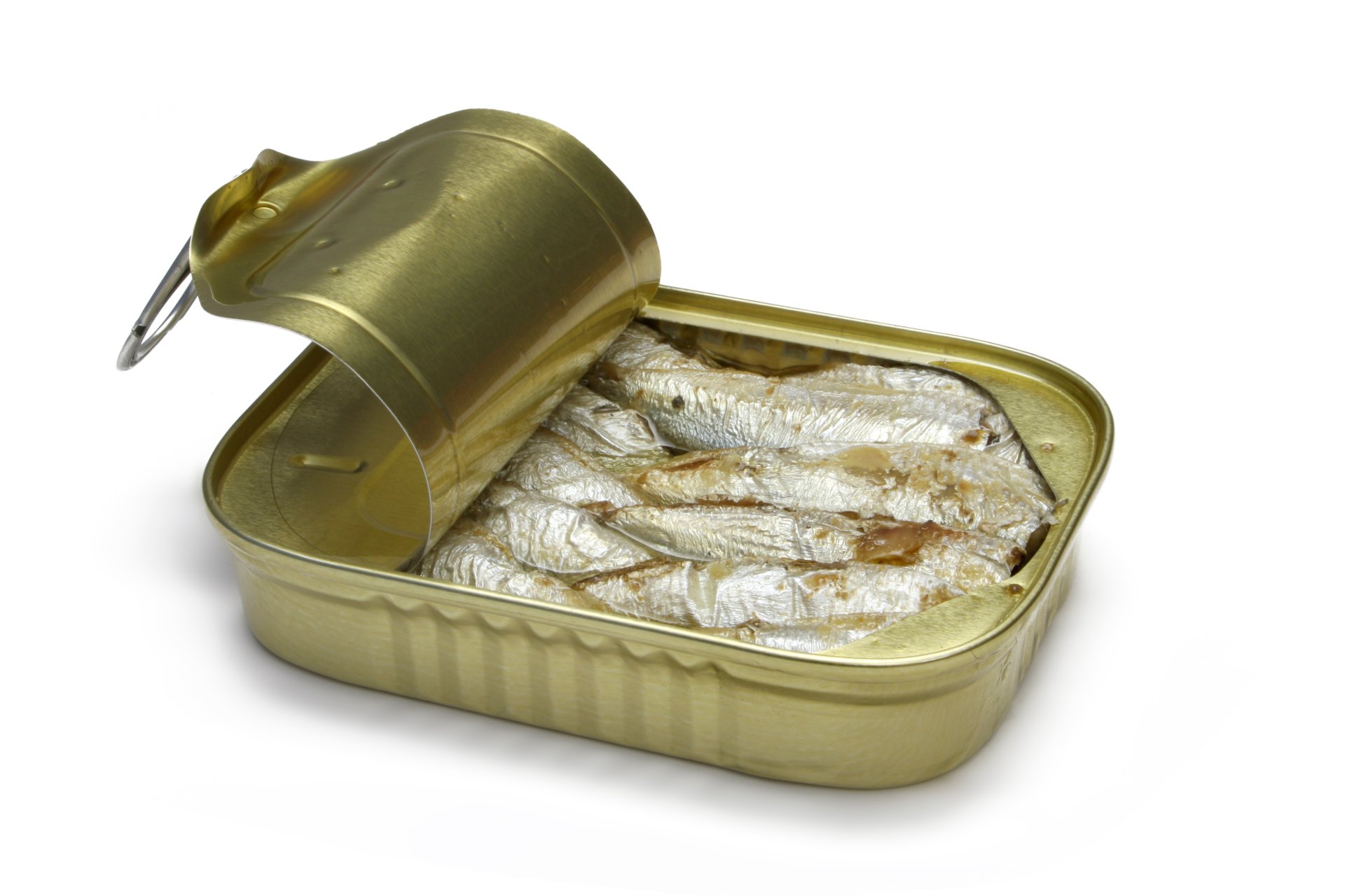 Download Food Sardines HD Wallpaper